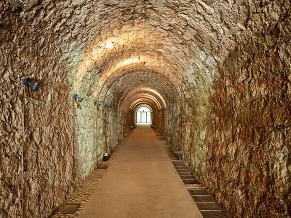 Visita-guidata-gratuita-al-Forte-di-Cadine-17-ottobre.jpg