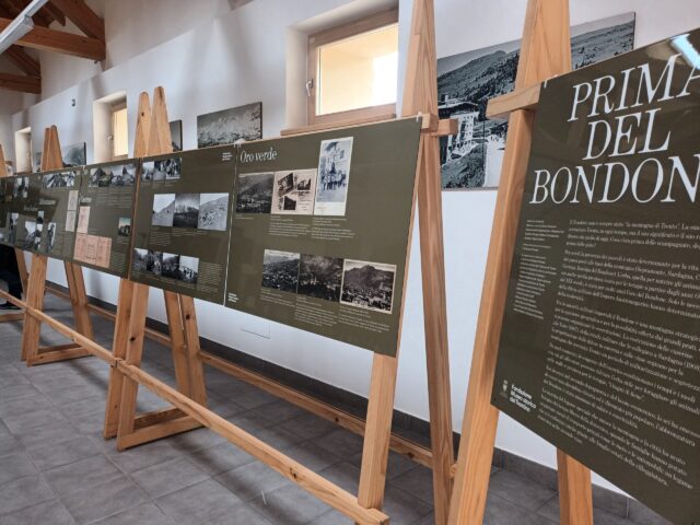 Prima del Bondone_Malgone di Candriai